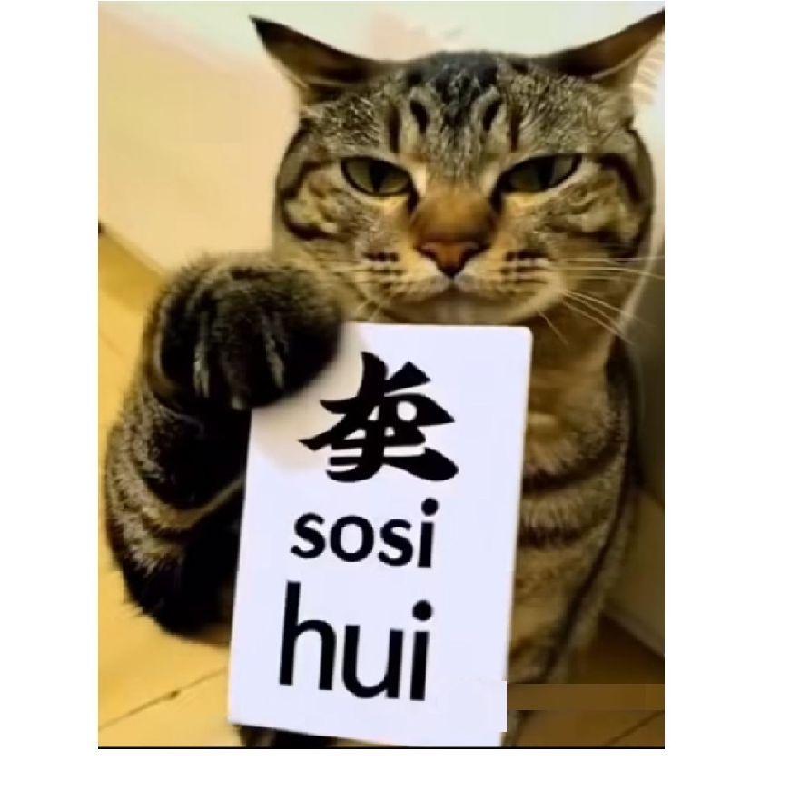 5051HUY avatar