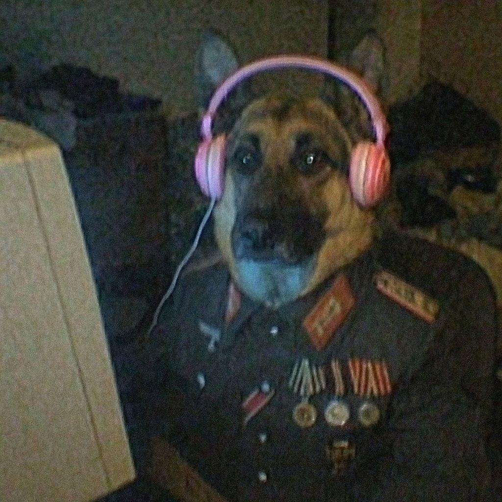 Ichidog avatar