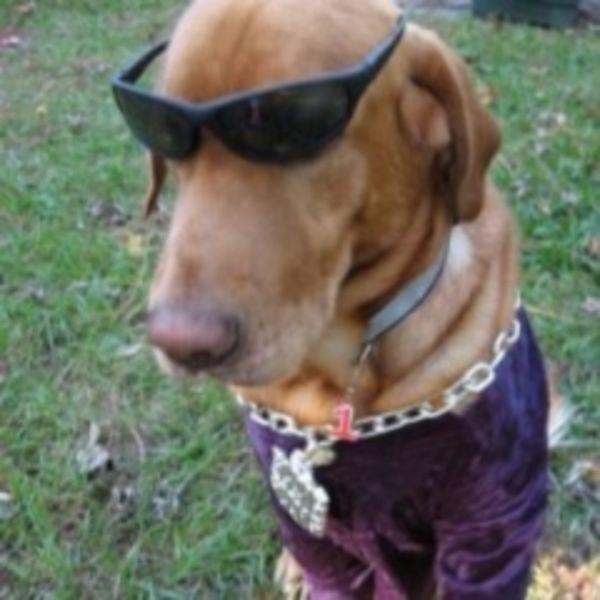 Frrics avatar