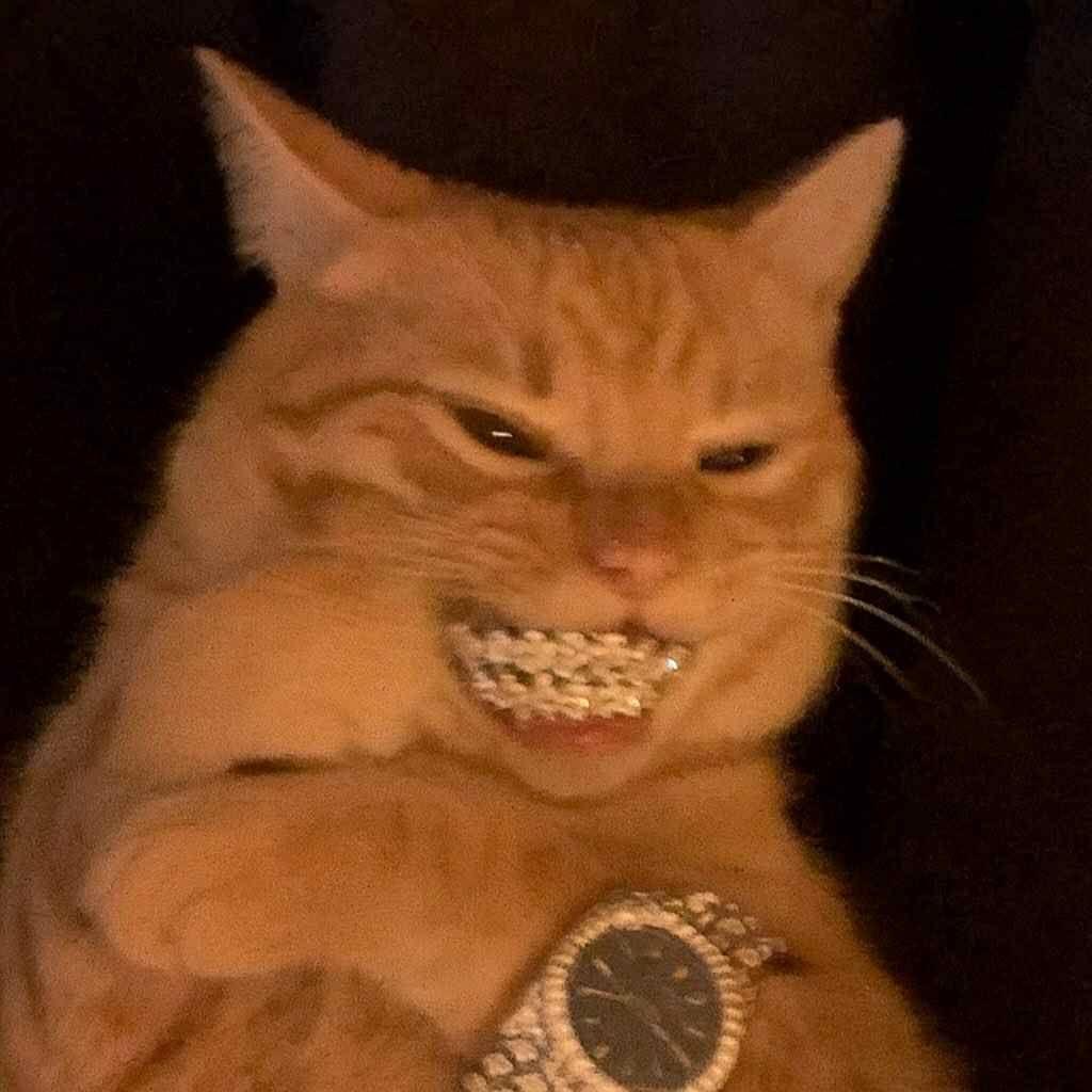 LIHAPALL666 avatar