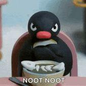 Nootdrit avatar
