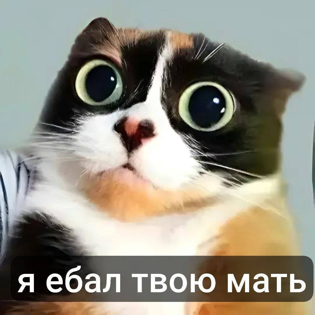 obhod_vinted