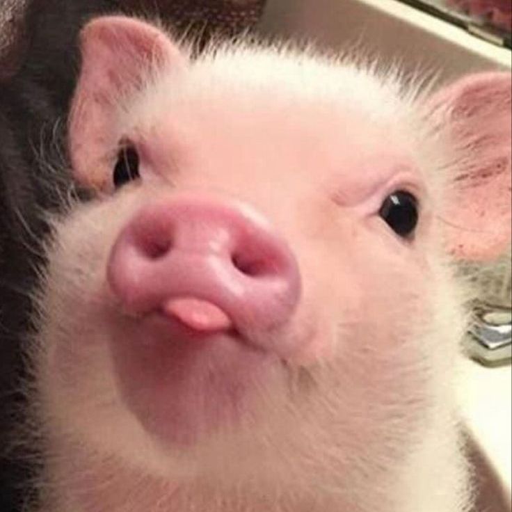 OUYB9hdqw