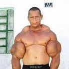 synthol_max