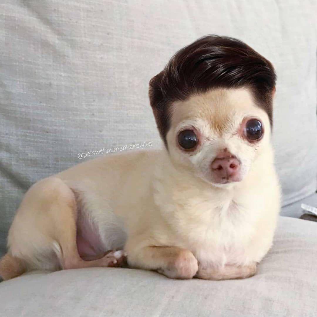 MurphyCS avatar