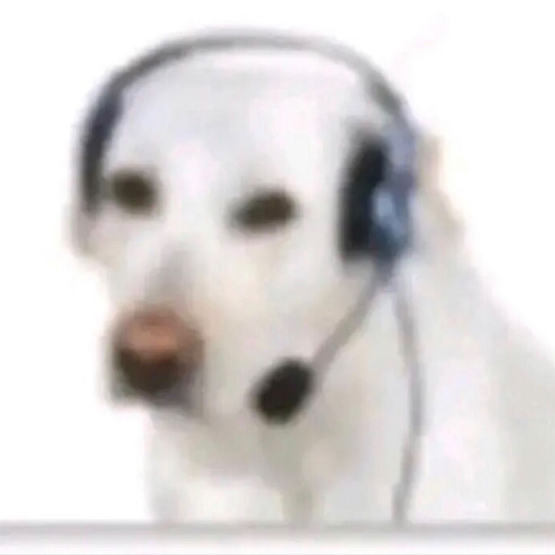 bigdallasye