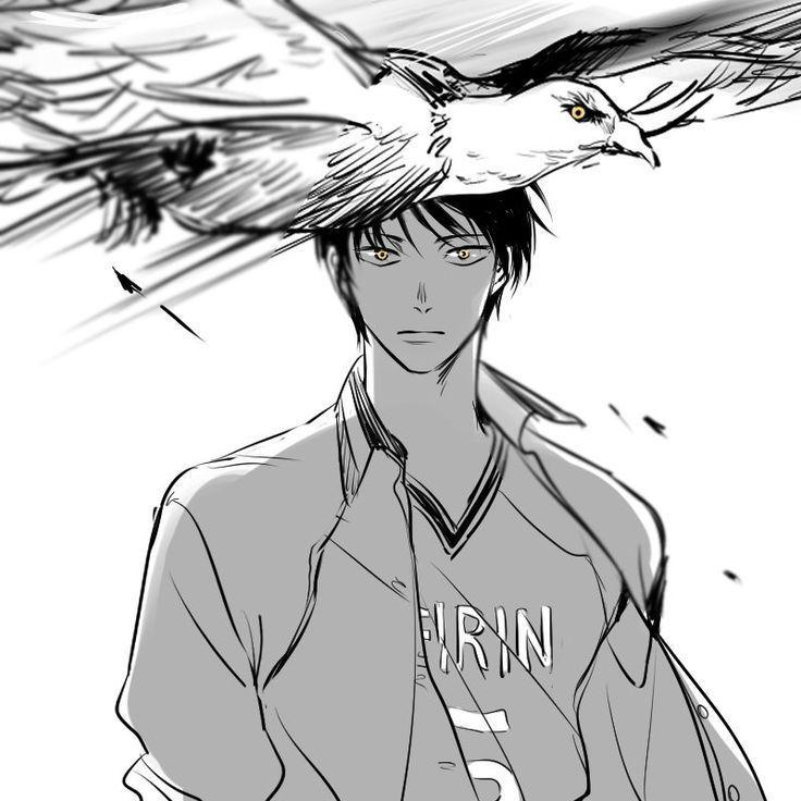 OGreiji avatar