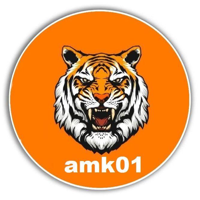Player amk01- avatar