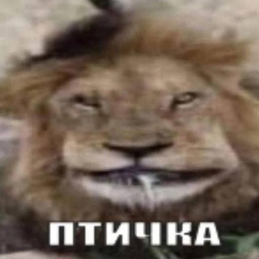 Klev1rr