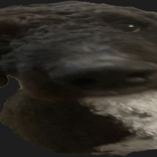 Froggerson