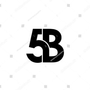 5 BASICI