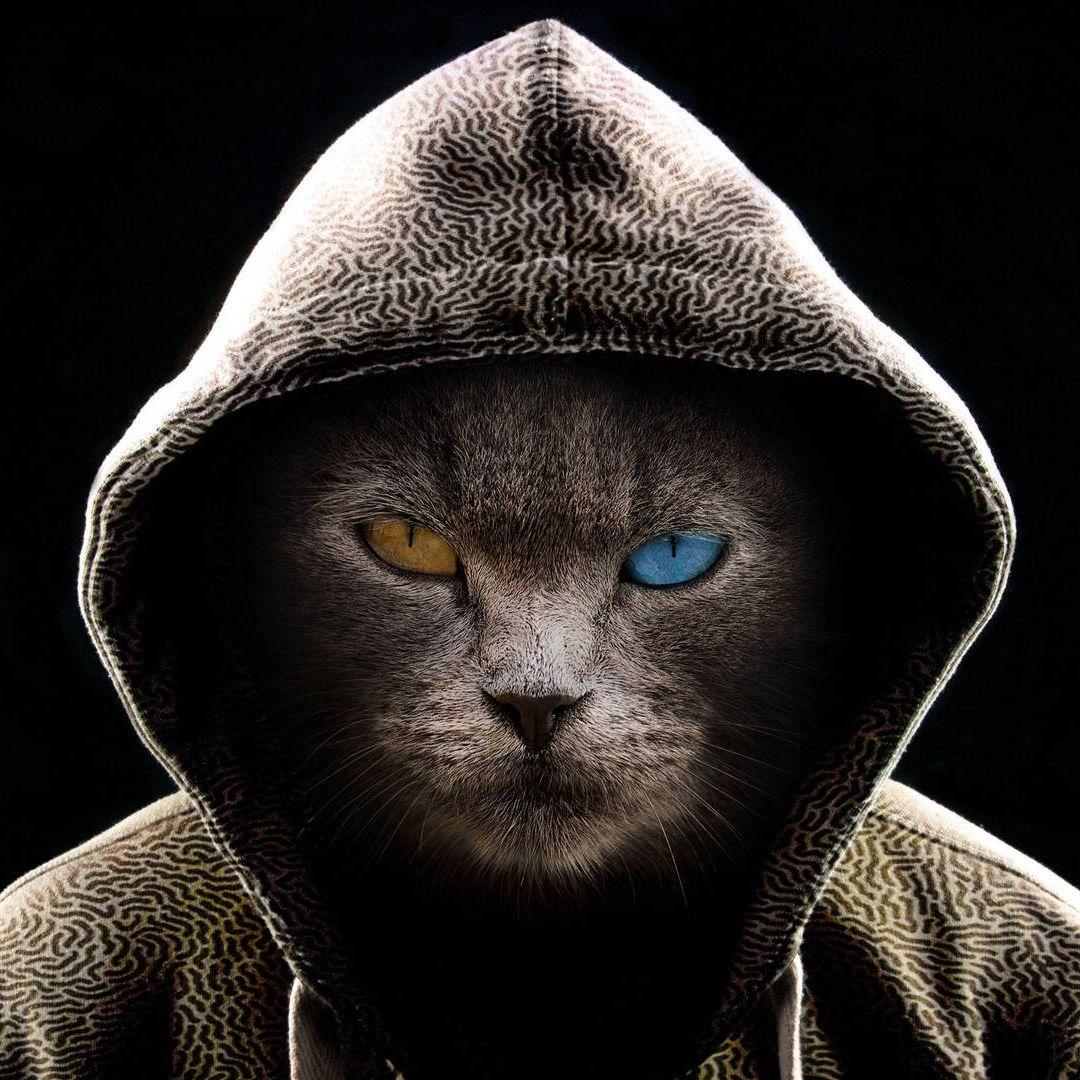 -m3iN avatar