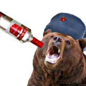 BearnotBeer avatar