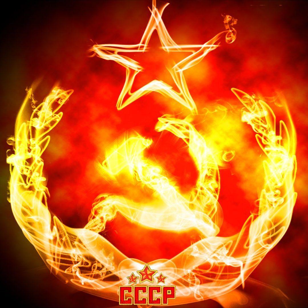 -Communist-- avatar