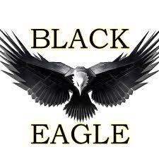 BlaCk-Eagle7 avatar