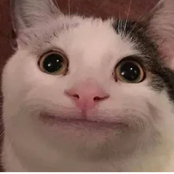 Banaanenkopf