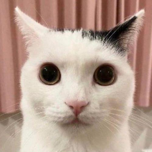 MtiuYT avatar