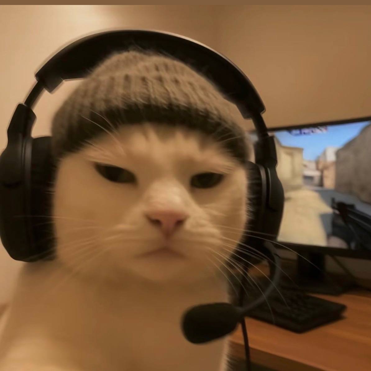 solo_long