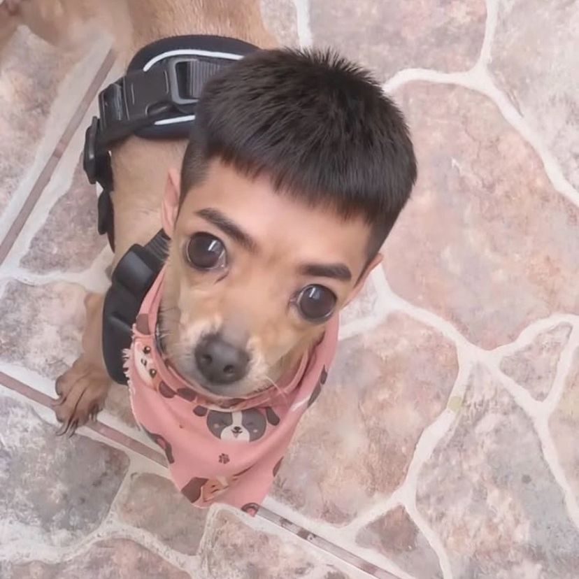 xavie