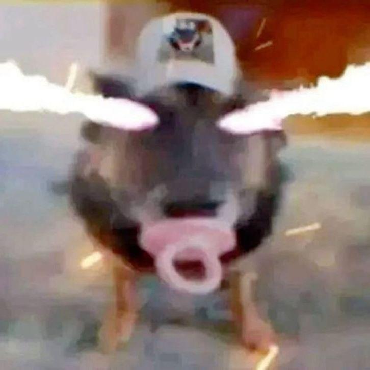 barnyashk avatar