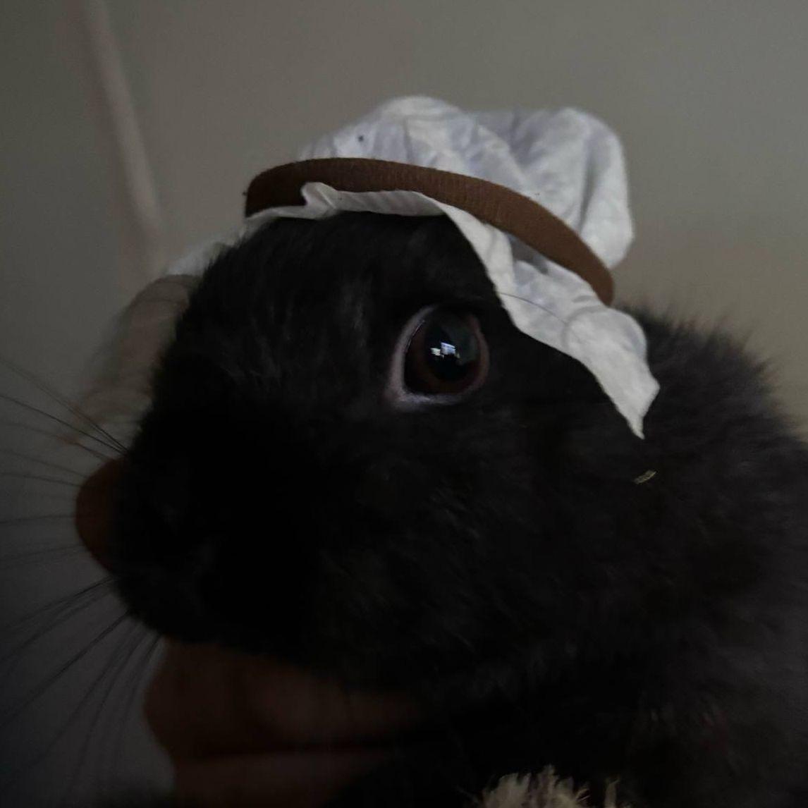 FOFAFIO avatar