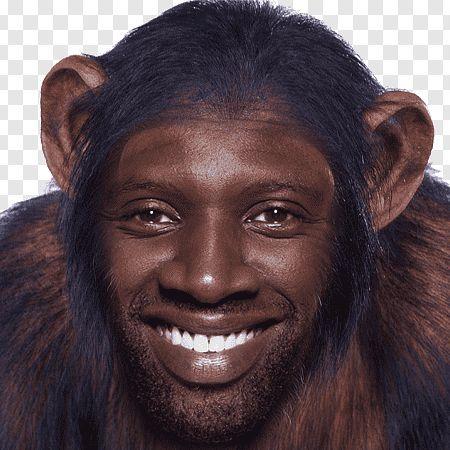 mayerlansky0 avatar