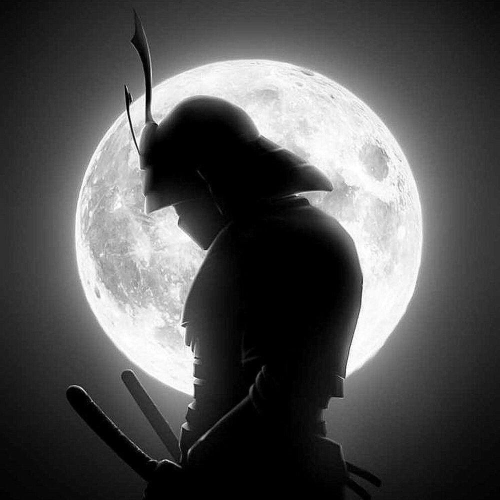 -drakulitov avatar