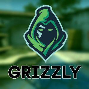 Player -Gr1zzIy avatar