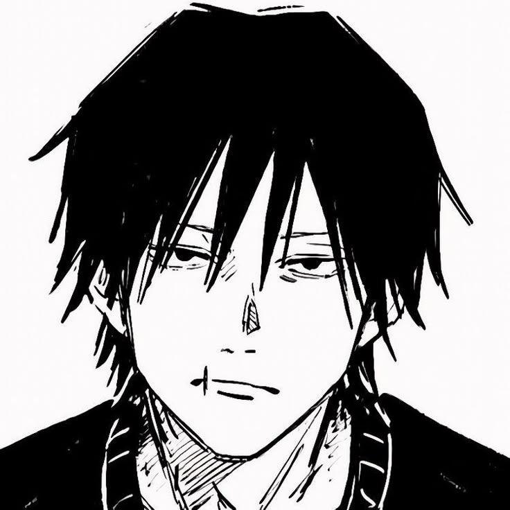 732533 avatar