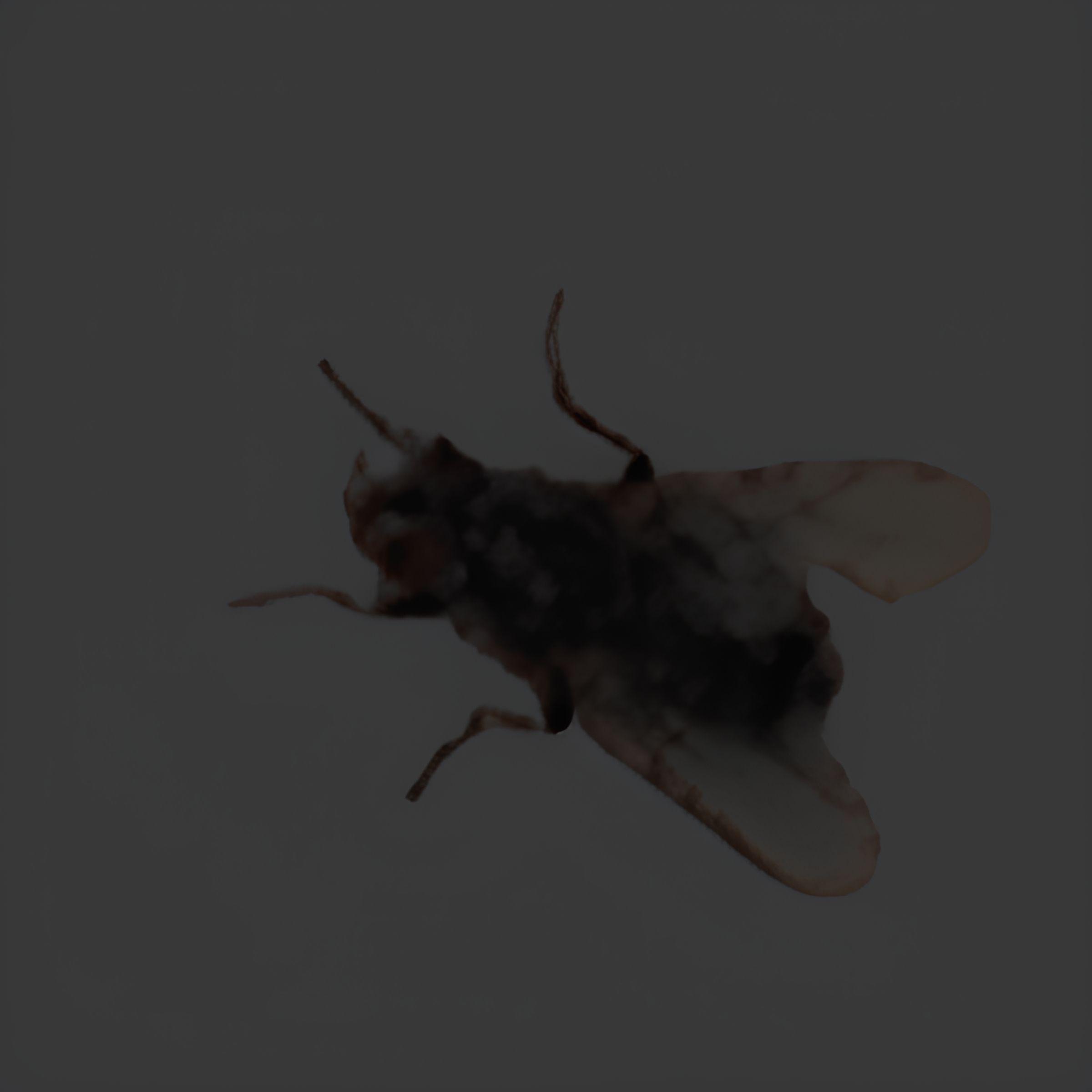 DanFPSW avatar