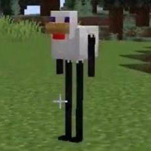Jackatta avatar