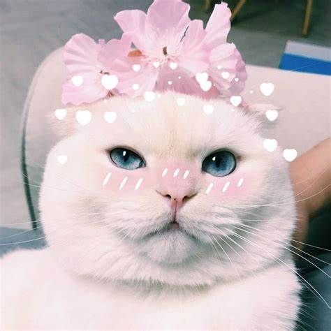 n3KAPb avatar