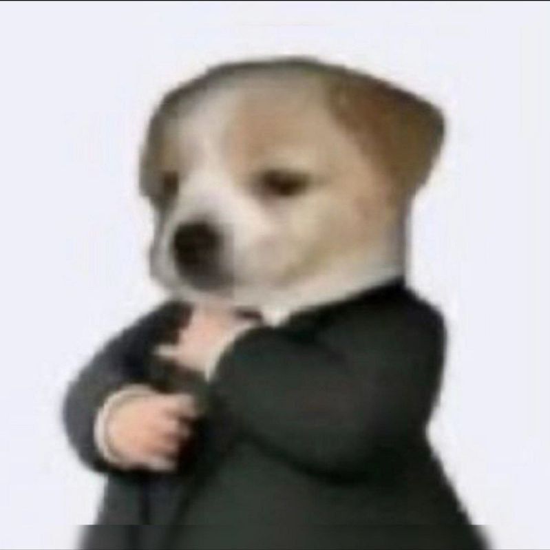 UAxFazb1k