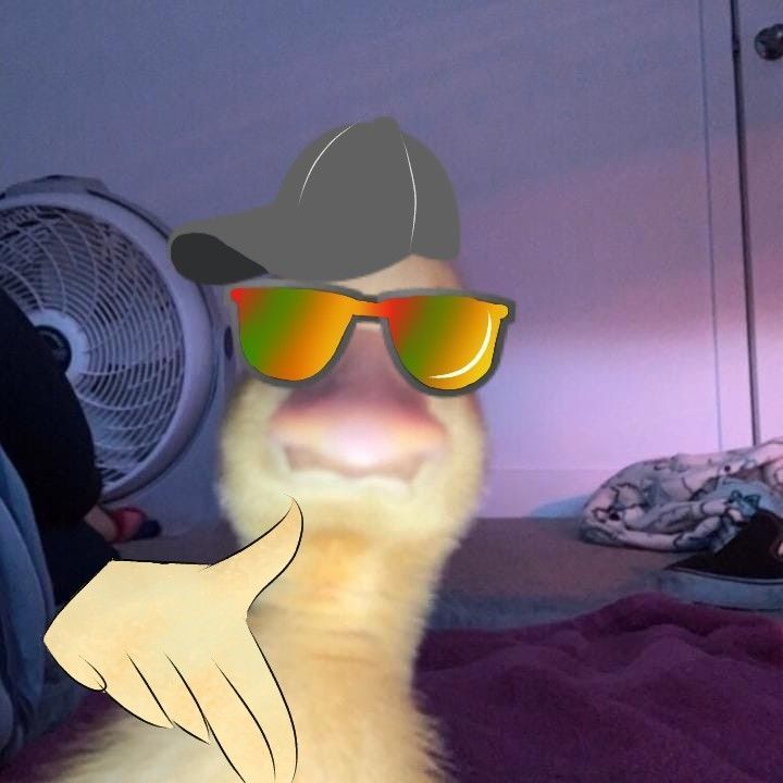 dashzeraIwnl