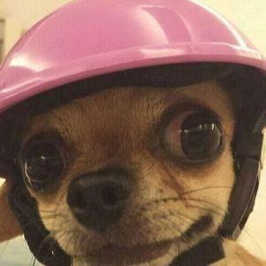 nnin0n74 avatar