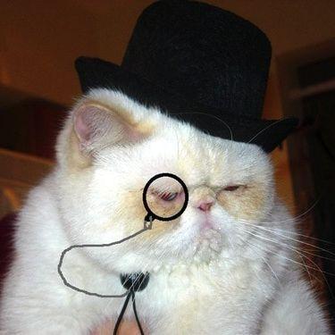 poonslap avatar