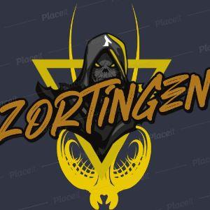 Player MrZortingeN avatar