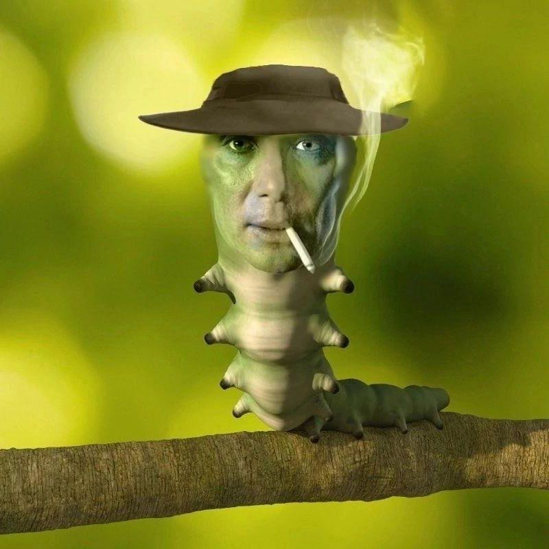 _Hevik avatar