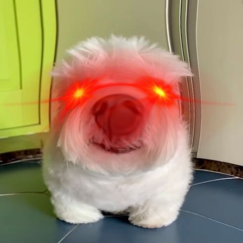 Myyrmaki47