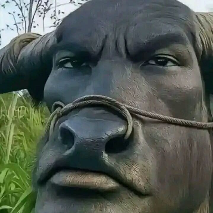 Seubas