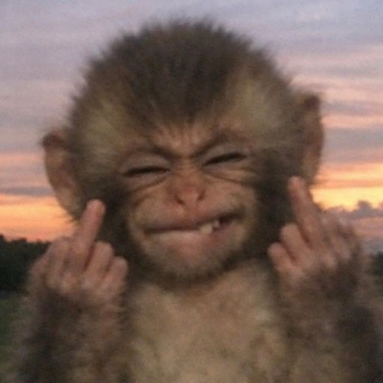 Inosuke7