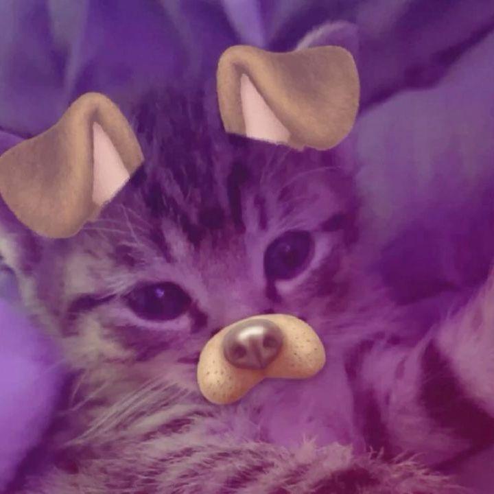 Demxtion avatar