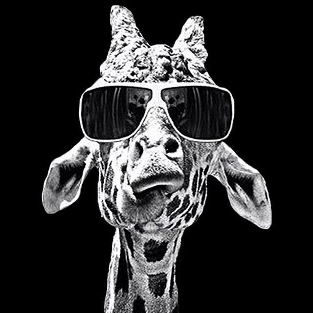 GIRAFFICH