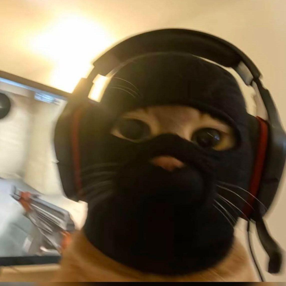 GOTUME_BAKIN avatar