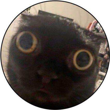 DaynesTV avatar