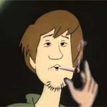 bot3333 avatar