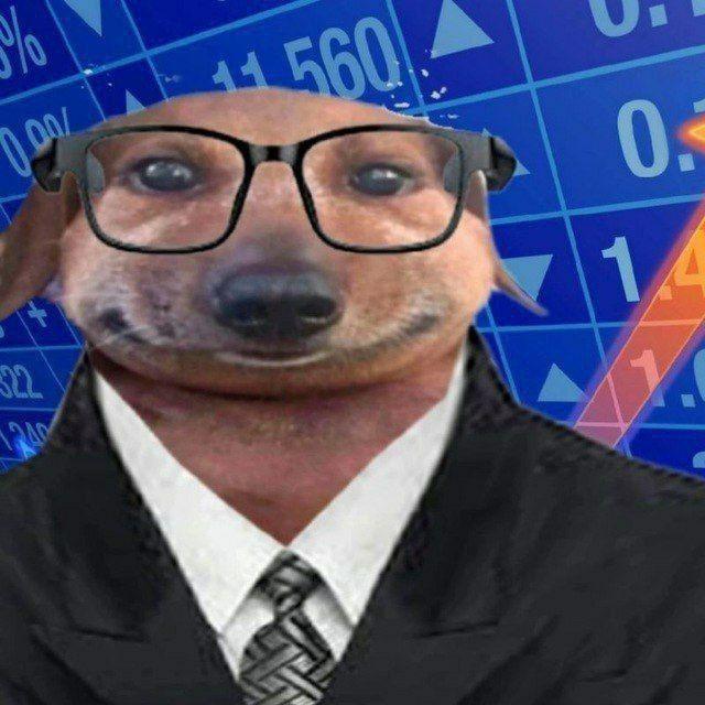 kapsd avatar