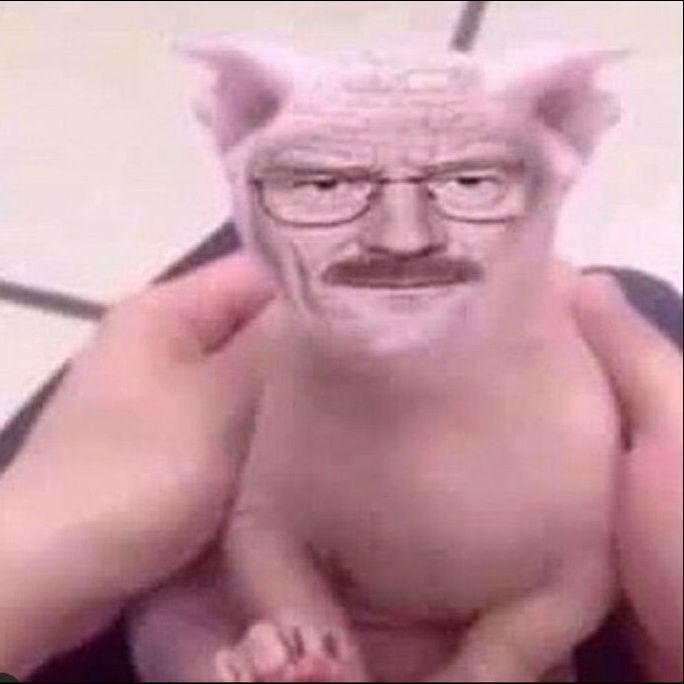 K4czkuch avatar