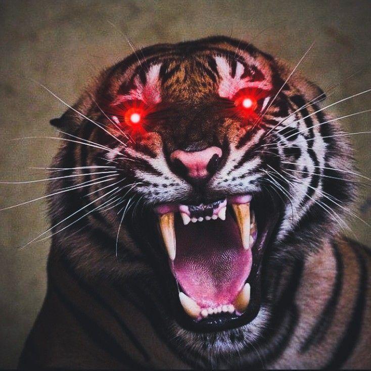 MoNssTer_ avatar