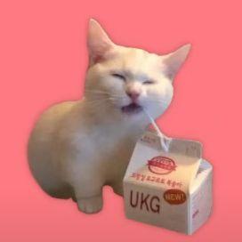 Bakertron avatar